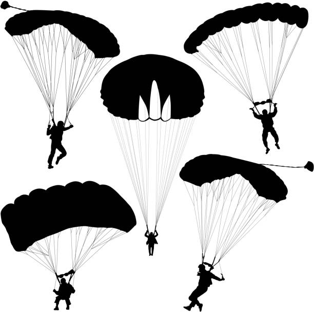 ilustrações de stock, clip art, desenhos animados e ícones de conjunto silhuetas skydiver, paraquedismo ilustração vetorial - parachute parachuting skydiving silhouette