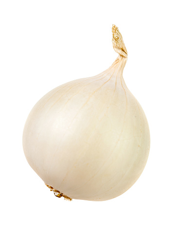 White onion bulb isolated over white background
