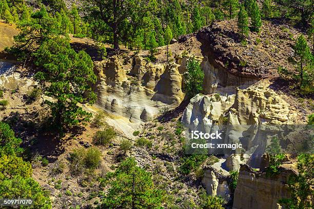 Forest On Mountains On Tenerife Island Stock Photo - Download Image Now - Atlantic Islands, Environmental Conservation, Famous Place
