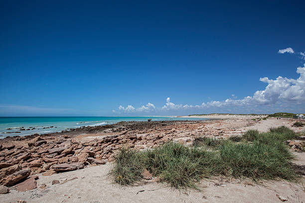 istock Coast of Indian Ocean 509717842