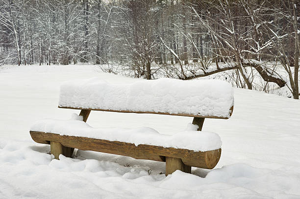 istock Snowy bench in the woods 509720612