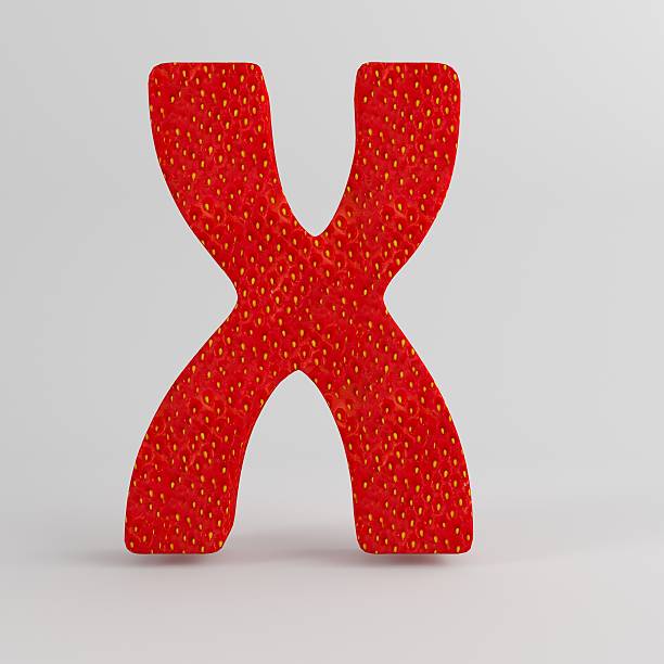 istock Realistic Strawberry Letter X 509720770