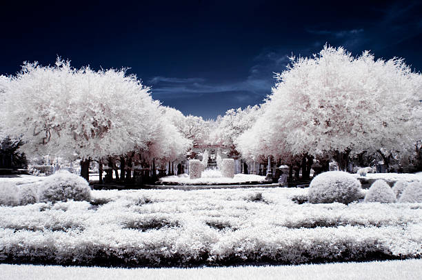 Vizcaya Museum & Gardens,The infrared image.