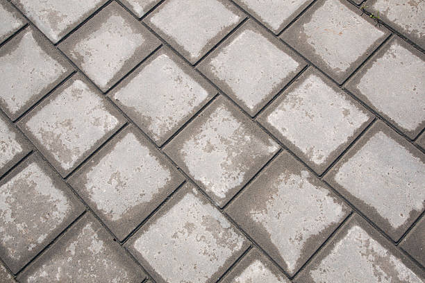 istock half dried tiles of pavement 509721953