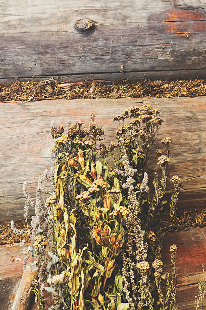 istock Variety of dried herbs 509722134
