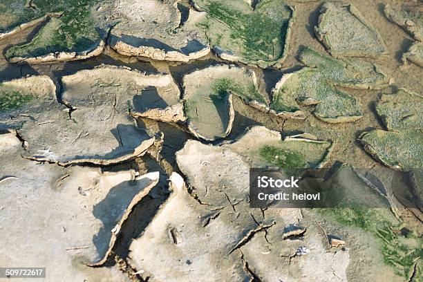 Sequía Foto de stock y más banco de imágenes de Agricultura - Agricultura, Agrietado, Aire libre