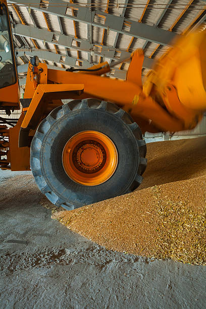 istock mover loadding corns of wheat 509724007