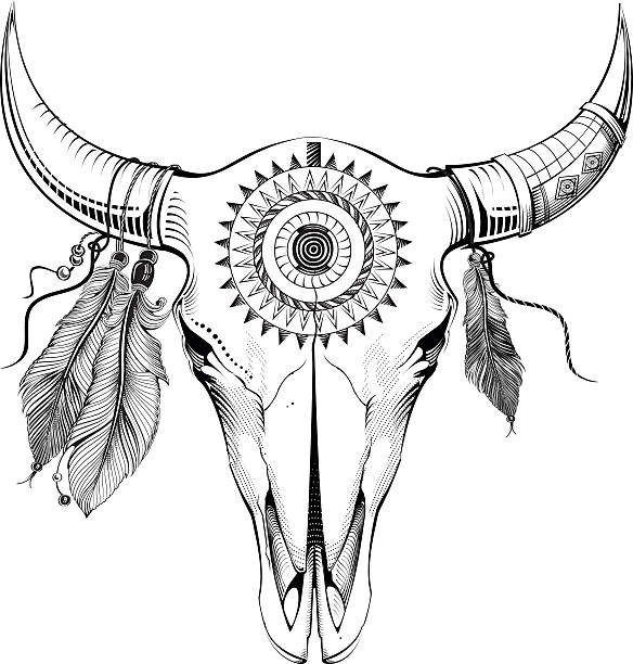 этнические черепа быка - animal skull cow animal skeleton animal stock illustrations