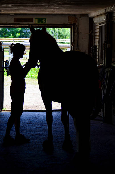 istock Horse and woman 509728429