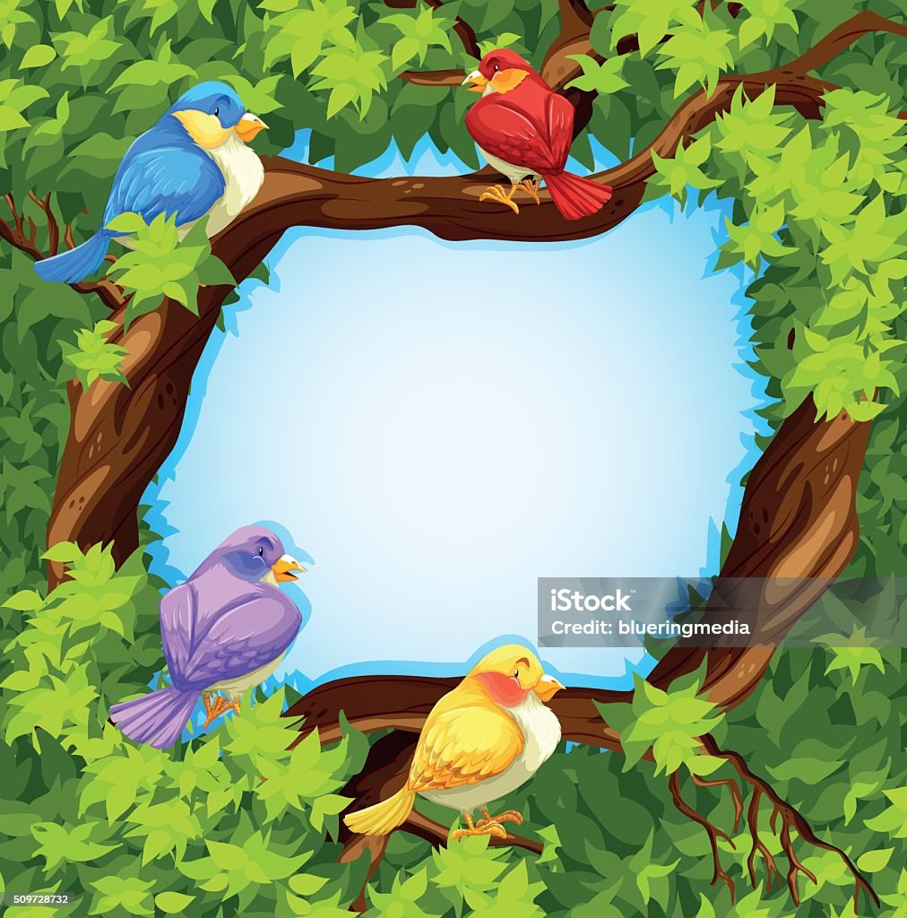 Border Design With Birds On Tree Stock Illustration - Download Image Now -  Animal, Animal Wildlife, Backgrounds - iStock