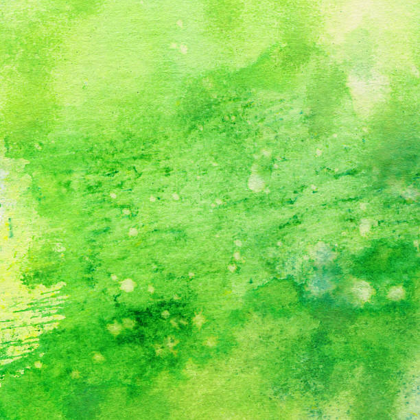 istock Vibrant green hand painted textured on paper 509730292