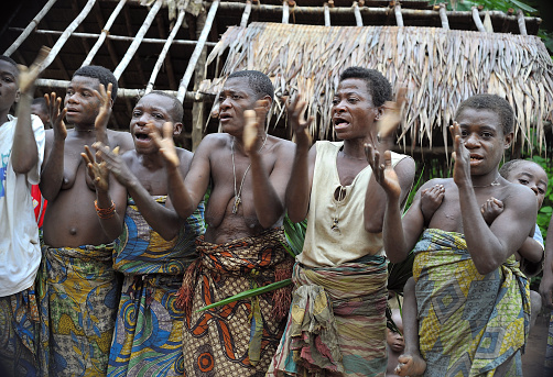Dzanga-Sangha Forest Reserve, Cental-African Republic, Africa, November, 5, 2008: People from a tribe of Baka pygmies in village of ethnic singing. Traditional dance and music. 