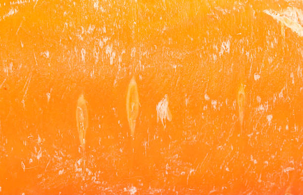 istock Close up of Orange carrot wallpaper texture 509730936