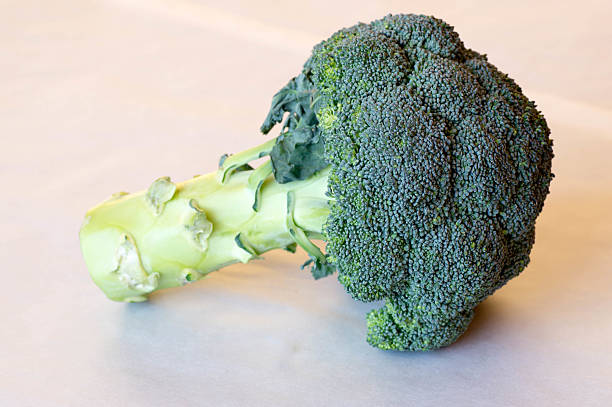 istock Side view of a full broccoli plant 509732042