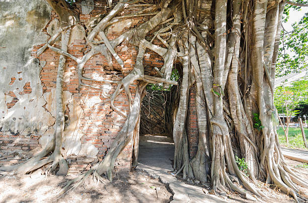 istock Wat Sang Kratai is 400 years old temple. 509733284