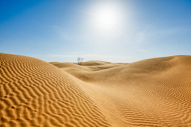 el sol y la arena-sahara desierto de túnez - great sand sea fotografías e imágenes de stock