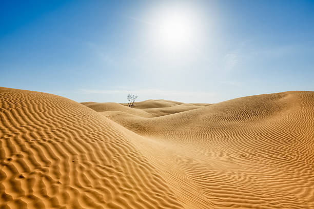 태양 및 처박은-사하라 사막 튀니지 - great sand sea 뉴스 사진 이미지