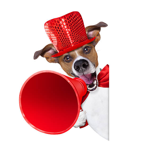 dog sale megaphone