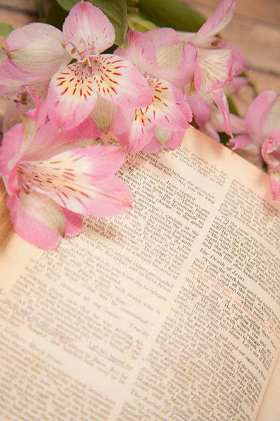 istock Easter. Flowers on open Christian Bible. 509735990