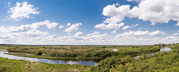 река berezina, республики беларусь, - europe sunlight river sun стоковые фото и изображения