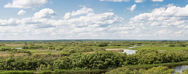 река berezina, республики беларусь, - europe sunlight river sun стоковые фото и изображения