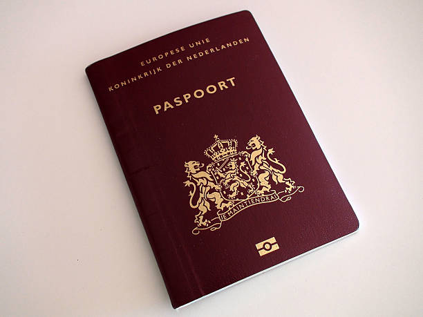 istock Looking At Dutch Official International Passport 509737654