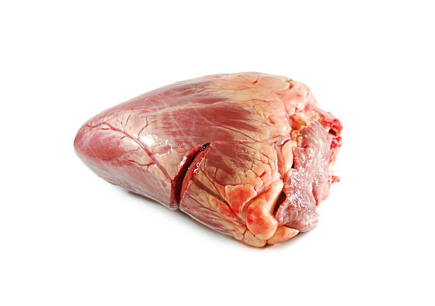 新鮮な生牛の心臓絶縁アゲインスト白の背景 - meat raw beef love ストックフォトと画像