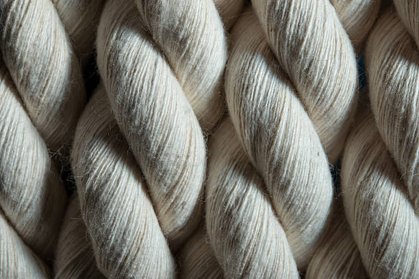 istock white cotton rope closeup 509740654