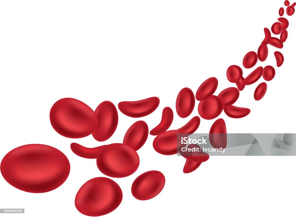 Glóbulos rojos (Red blood cells) - arte vectorial de Glóbulo rojo libre de derechos