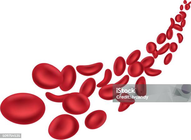 Ilustración de Glóbulos Rojos y más Vectores Libres de Derechos de Glóbulo rojo - Glóbulo rojo, Célula sanguínea, Fondo blanco