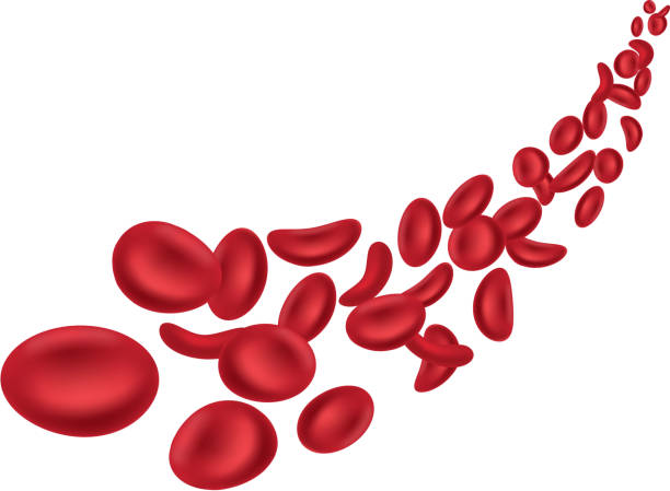 blood cell 적혈구 - blood cell anemia cell structure red blood cell stock illustrations
