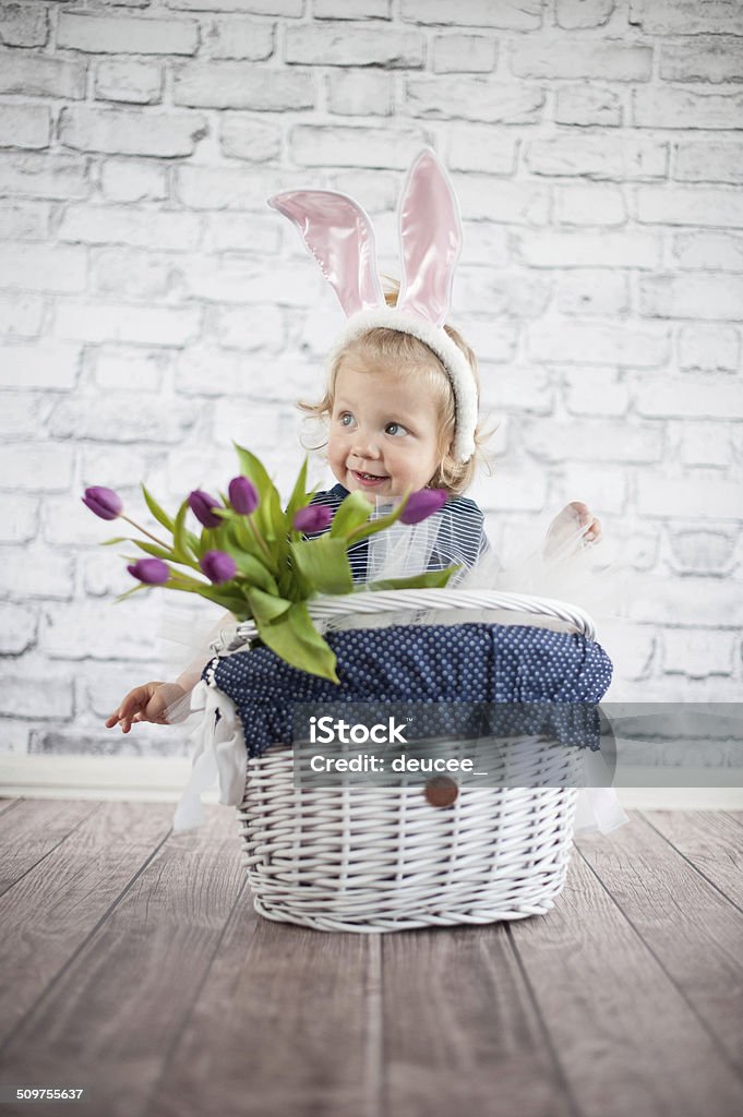 Adorable baby bunny 12-17 Months Stock Photo