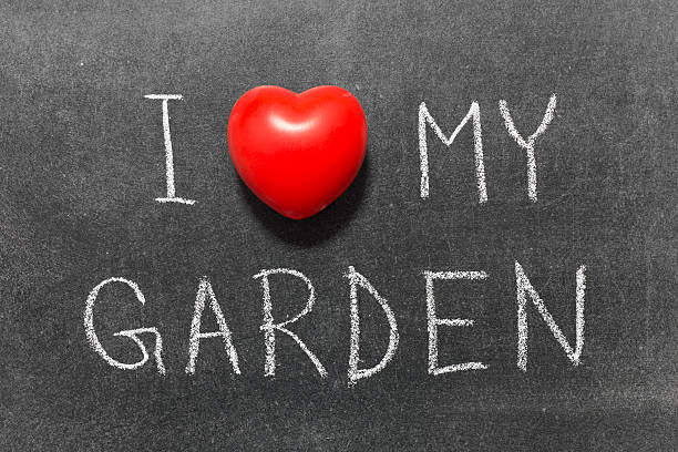 istock love my garden 509757265