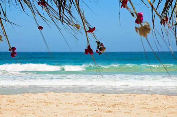 Playa de Romance - foto de stock