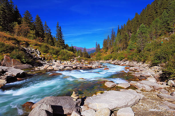 Pastoral in the Alpine mountain valley in Austria. Cascades of cold water at the source of the famous Krimml waterfalls. Rapid mountain stream of coniferous forests