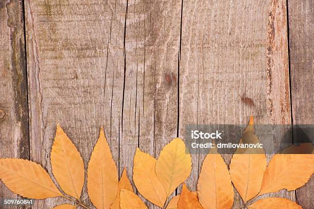 Autumn Background Of Leaves Over Wooden Surface Stock Photo - Download Image Now - Aging Process, Autumn, Backgrounds