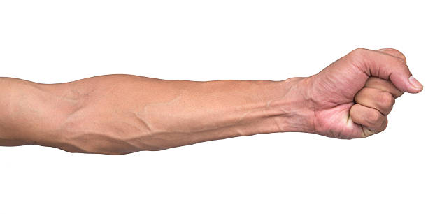 istock Vein in the arm 509780287
