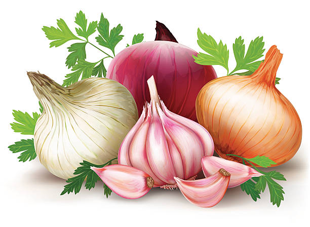 Onions and garlic Three onions bulbs of different colors and garlic on a white background. vector cow parsley stock illustrations