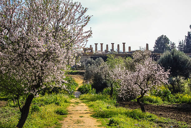 The ruined Temple of Hercules in Agrigento, Sicily