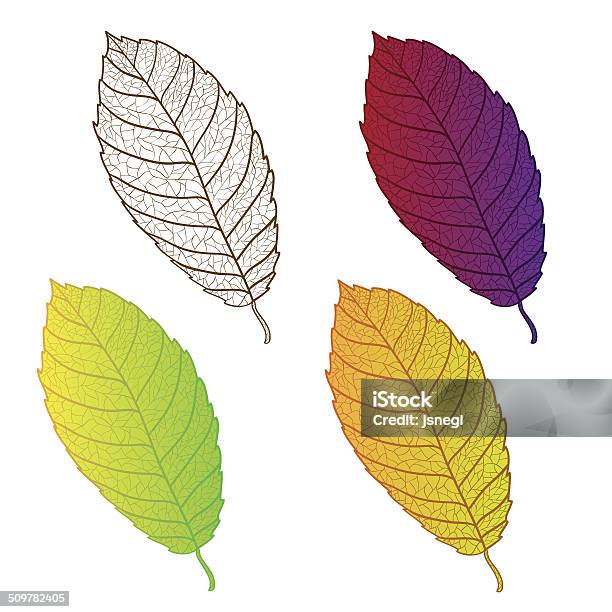 Collection Colorful Autumn Leaves Isolated Stock Illustration - Download Image Now - Abstract, Art, Art And Craft