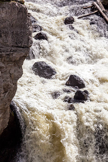 istock Yellowstone National Park, Utah, USA 509783983