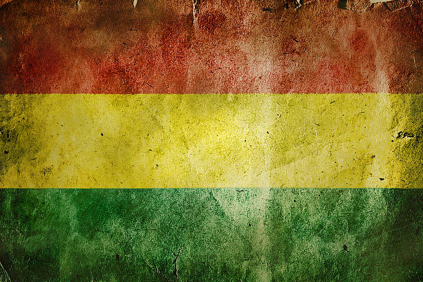 istock Flag of Bolivia 509786660