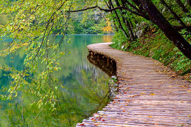 Wooden path masonry through the lake at sunset in the national park in Plitvice, Croatia.