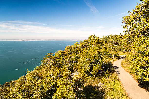 istock The gulf of trieste in a sunny day 509789414