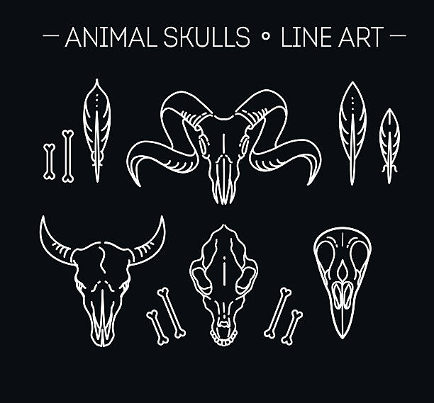 zarys ikona czaszki zwierząt - ox tail stock illustrations