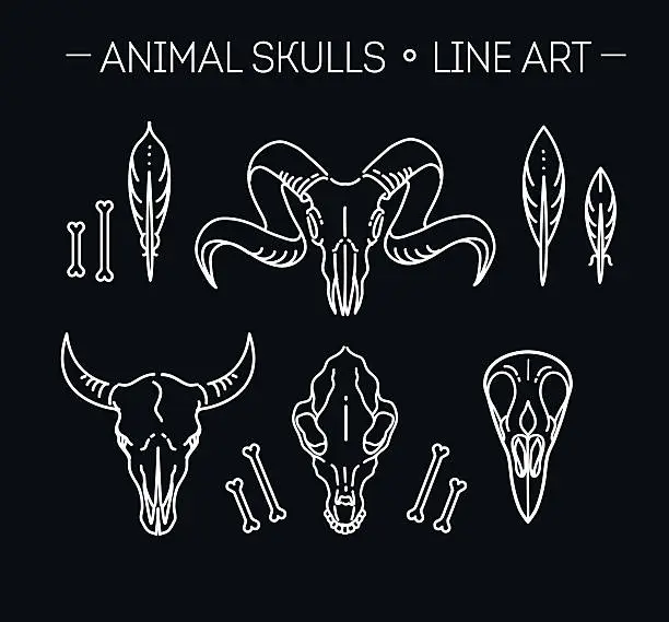 Vector illustration of outline icon skull animals