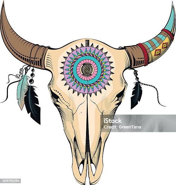 Bull Skull Stock Illustration - Download Image Now - Cherokee Culture, American Culture, Animal