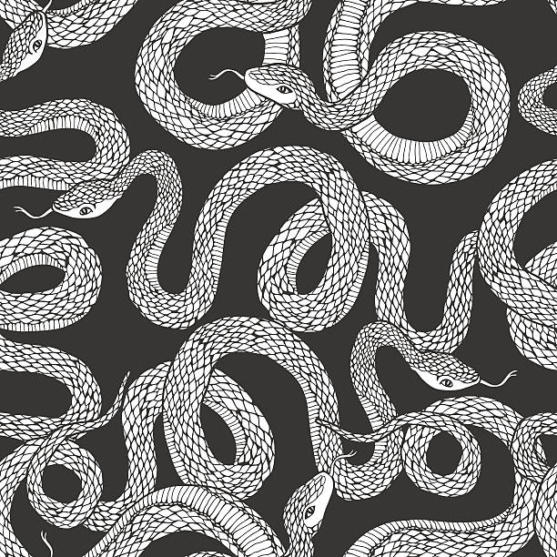 węże gładki wzór. - gothic style obrazy stock illustrations