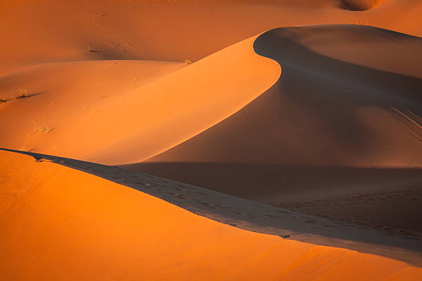 istock Sand Dunes in the Sahara Desert, Merzouga, Morocco 509801500