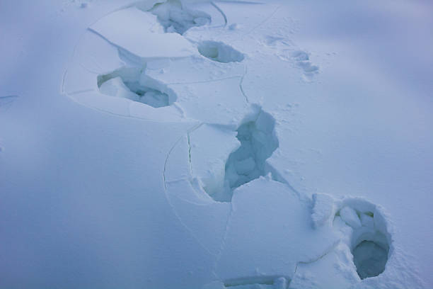 istock Human footprints in the snow. 509801622